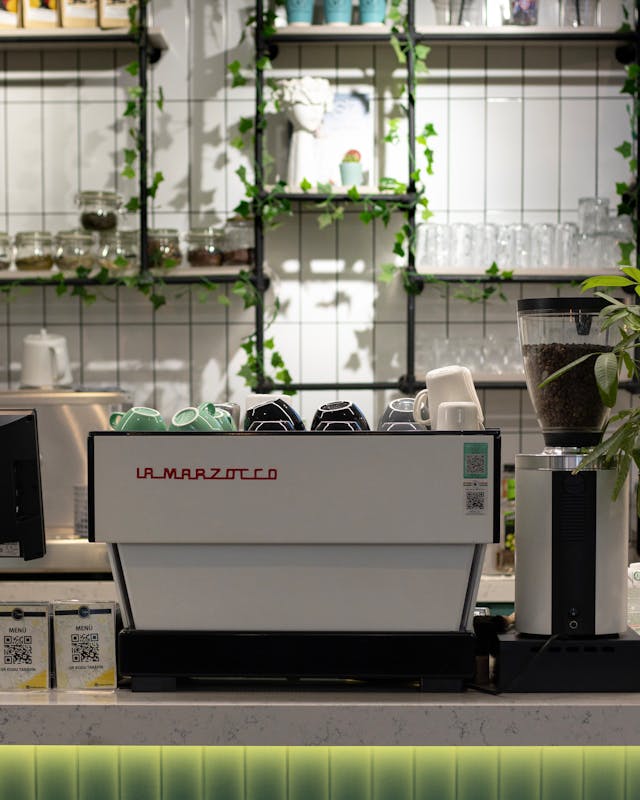 1722389856867228.jpg pexels-aysenurhamra-68268085-19018375.jpg